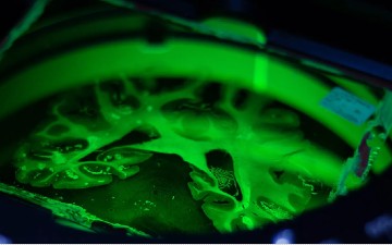 La infraestructura de investigación EBRAINS, en la que participa la UPM, obtiene 38 millones de euros de financiación