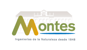 Logotipo Slogan (Es)