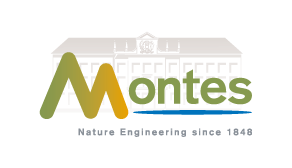 Logotipo Slogan (EN)