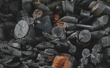 Lo último en el conocimiento de las propiedades mecánicas de la madera