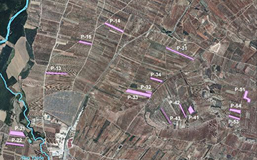 La reserva de agua del suelo influye en la calidad del vino