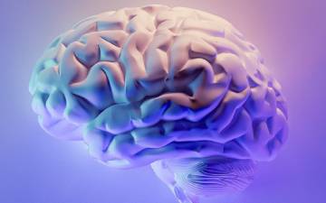 Redes neuronales para mejorar la detección temprana de la demencia