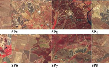 Alternativas para la convivencia de los paneles solares con la agricultura