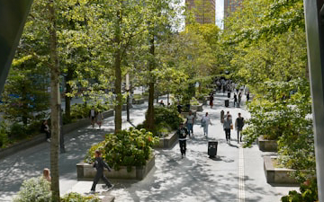 Las soluciones basadas en la naturaleza, claves para combatir el estrés térmico