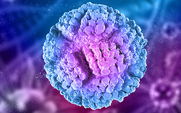 Nuevo descubrimiento para acelerar el desarrollo de terapias innovadoras contra el cáncer