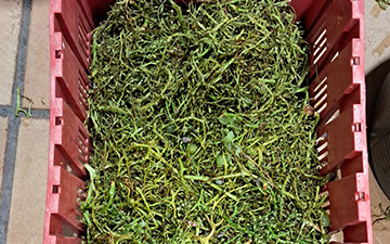 Descubren una solución sostenible para eliminar antibióticos del agua hospitalaria