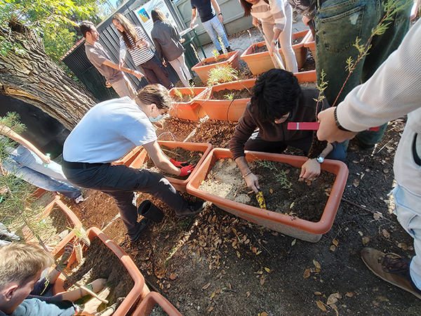 Estudiantes trabajando con jardineras experimentales para evaluar la respuesta de especies vegetales ante distintos escenarios de inundación.