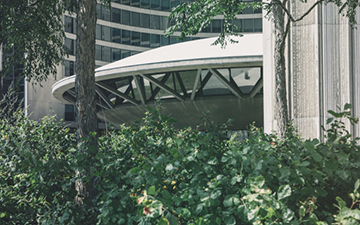 Urban vegetation could reduce long-term heat-related mortality