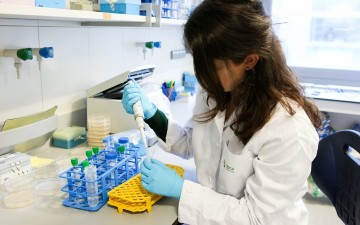 Éxito de la UPM en el Programa Jóvenes Investigadores de la Comunidad de Madrid
