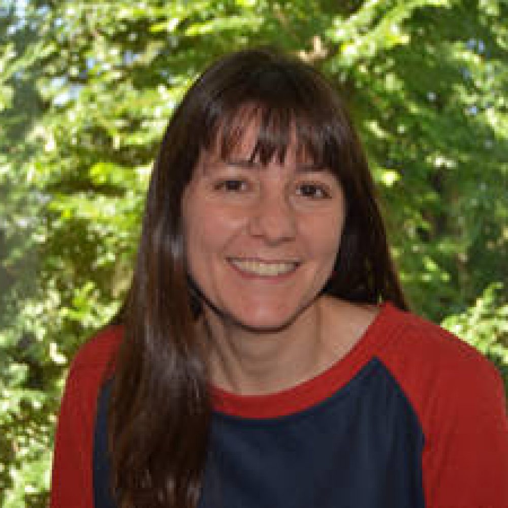 Ledesma