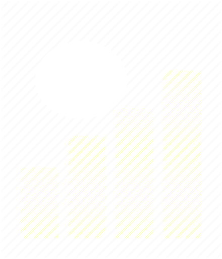 Flag icon