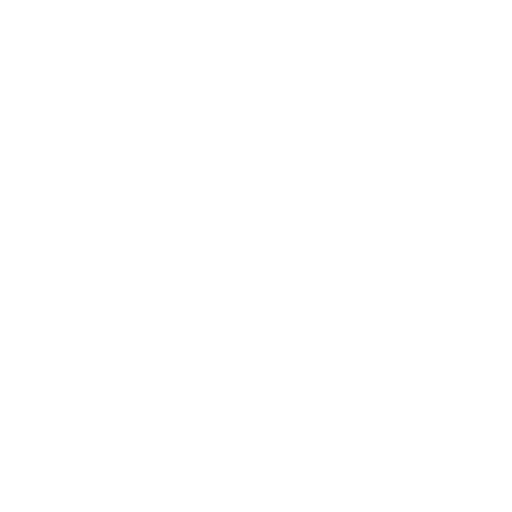 Flag icon