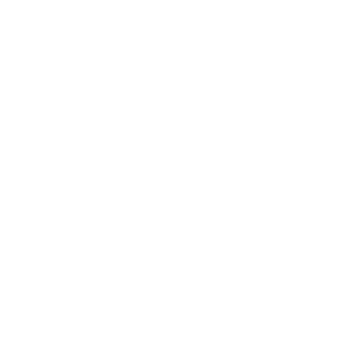 Flag icon