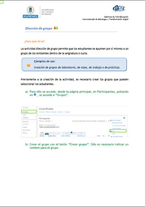 Portada del documento: Guía de la actividad Elección de Grupo